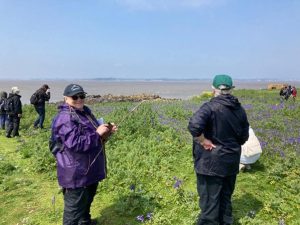 People listening to a tour guide outside on an island with wildflowers in background