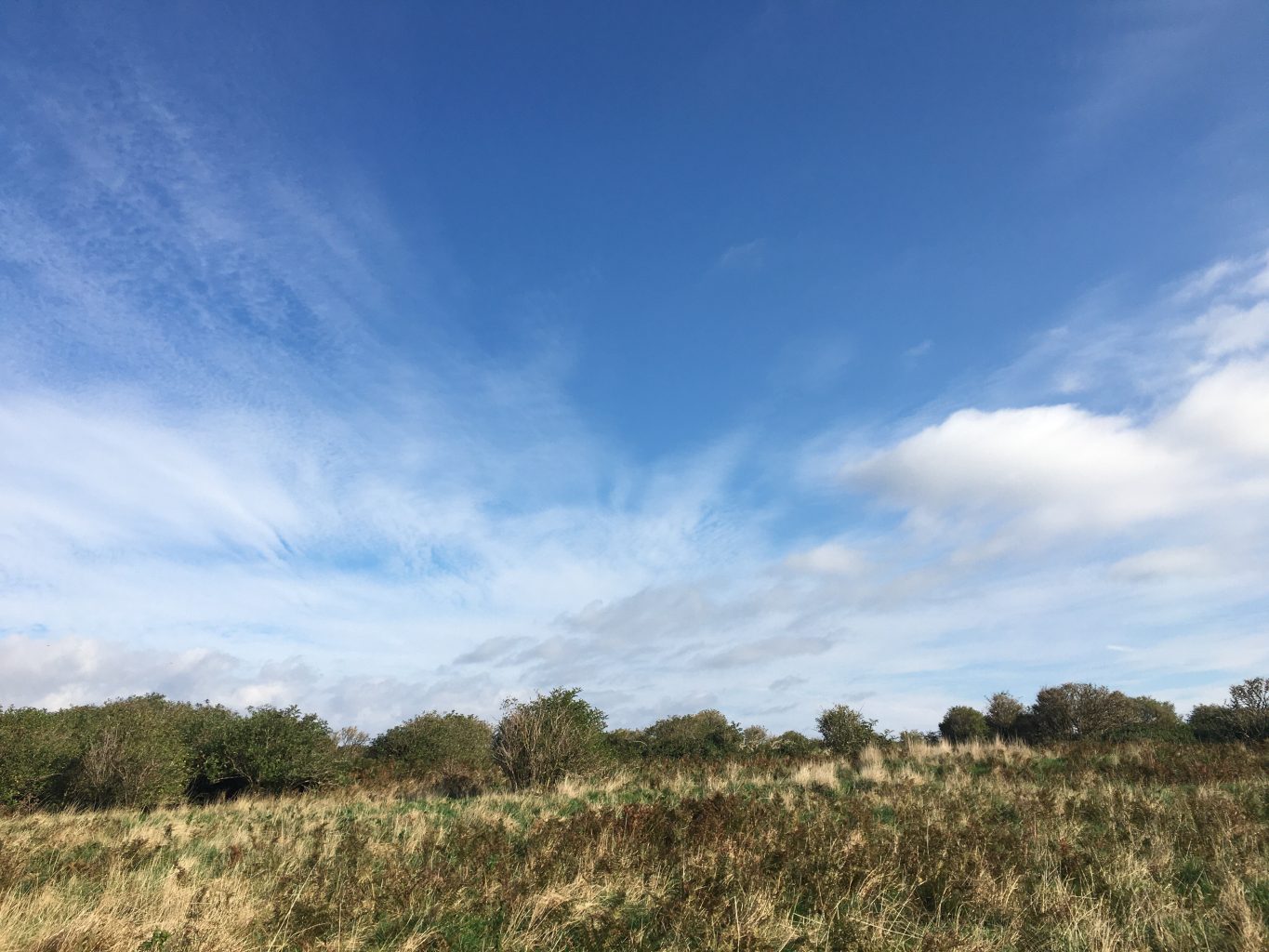 Flat Holm in Focus – photography skills summer weekend - Cardiff ...